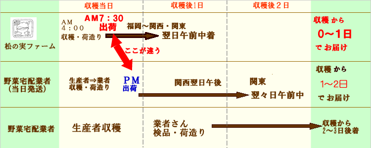 収穫からお届けまで